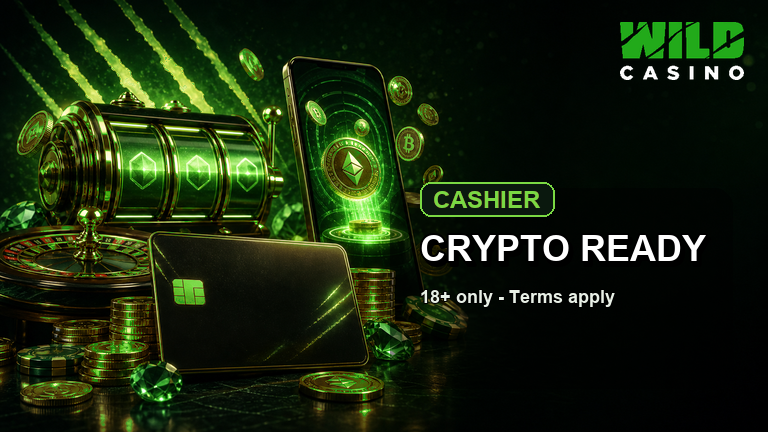Wild Casino cashier and game room visual